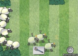 Sheep Dash